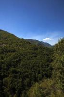 mountain district - the mountains covered with various trees, other plants. Montenegro photo