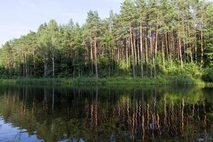 reflejo del bosque, río foto