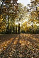 Sunny weather with sunlight photo