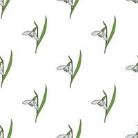 Seamless pattern with gentle snowdrops on white background. Vector image.