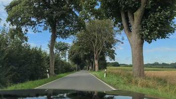 vue en angle bas d'une voiture roulant dans les arbres qui passent. video