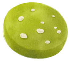 Green tea matcha Cookie watercolor hand painted png