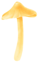 Yellow Mushroom Hand-painted watercolor illustration png