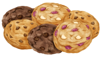 Watercolor cookies illustration png