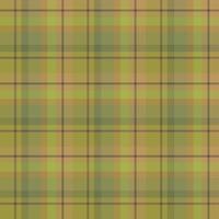 Seamless pattern in amazing forest green and brown colors for plaid, fabric, textile, clothes, tablecloth and other things. Vector image.