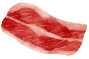 rått kött akvarell stil för dekorativt element png