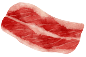 estilo acuarela de carne cruda para elemento decorativo png