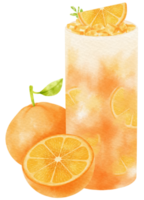 suco de laranja verão bebida composição aquarela png