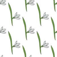 Seamless pattern with cute snowdrops on white background. Vector image.