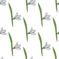 Seamless pattern with cute snowdrops on white background. Vector image.