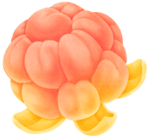 ilustración de acuarela de fruta de mora png