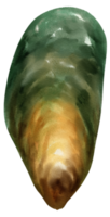 ilustración de acuarela de mariscos de mejillón png