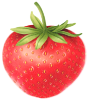 illustrazione dell'acquerello di frutta fragola png