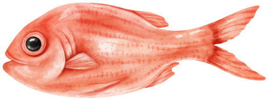illustration aquarelle de fruits de mer de poisson