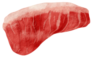 estilo aquarela de carne crua para elemento decorativo png