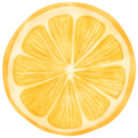 rodaja de fruta de limón acuarela png