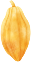 acuarela de fruta de cacao pintada a mano png