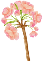 Pink Flower Watercolor hand-painted png