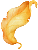 Dried autumn Leaf  watercolor style for Decorative Element png