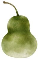 ilustración de acuarela vegetal de calabaza de invierno png