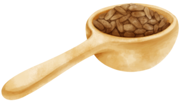 granos de cacao acuarela en cuchara de madera png