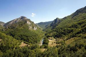 distrito de montaña - las montañas cubiertas de varios árboles, otras plantas. montenegro foto