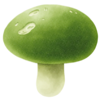 ilustración de acuarela de russula de grietas verdes png