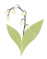 rama de flor ilustración en acuarela png