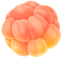 ilustración de acuarela de fruta de mora png