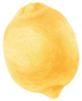 citroen fruit aquarel illustratie png