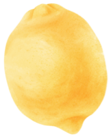 citron frukt akvarell illustration png