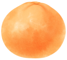illustration aquarelle de fruits orange png