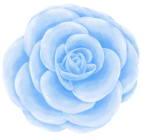 flor azul em aquarela pintada à mão png