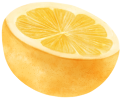 acuarela la mitad de la fruta de limón png