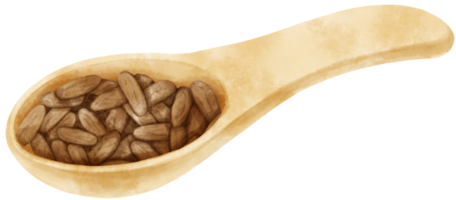 watercolor cocoa beans in wooden spoon png