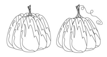 A set of vector pumpkins for Halloween, a symbol of the Halloween holiday. Beautiful pumpkins harvesting autumn harvest. For use on banners, postcards, invitations, printing on clothes, mugs and more