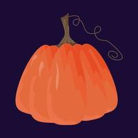 Autumn colorful pumpkin for Halloween decoration or decoration, harvest vector