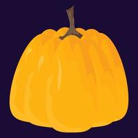 Autumn colorful pumpkin for Halloween decoration or decoration, harvest vector