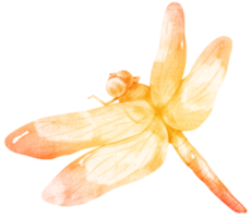 ilustração de aquarela de libélula png