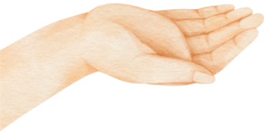 öppen palm hand akvarell illustration png