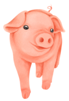 ilustração de aquarela de porco fofo png
