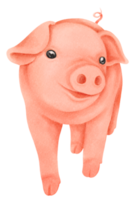 Cute pig watercolor illustration png