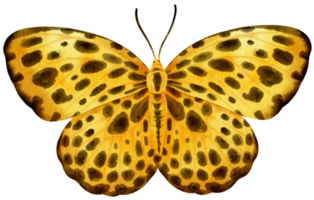 mariposa amarilla estilo acuarela para elemento decorativo png