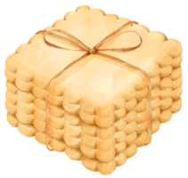 illustrazione dei biscotti dell'acquerello png