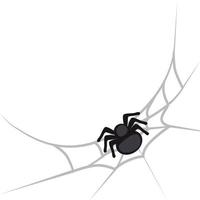 Halloween spider and spiderweb vector