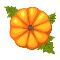 Cartoon orange pumpkin, top view vector