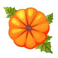 Cartoon orange pumpkin, top view. Symbol Happy Thanksgiving. Pumpkin icon vector