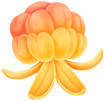 ilustración de acuarela de fruta de mora png