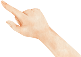 illustrazione dell'acquerello di puntamento della mano png