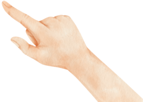 hand, die aquarellillustration zeigt png